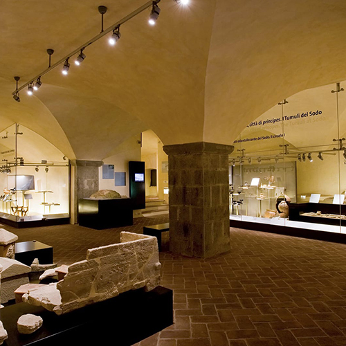 MAEC - MUSEO DELLAACCADEMIA ETRUSCA