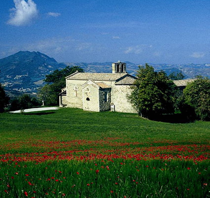 san-leo-gallery-3.