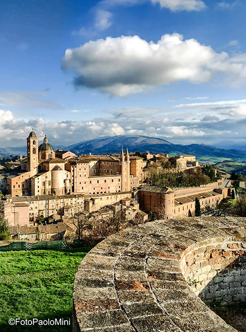 urbino-gallery-3.
